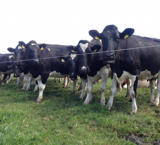 Handing the farm over - whilst still in your 50s