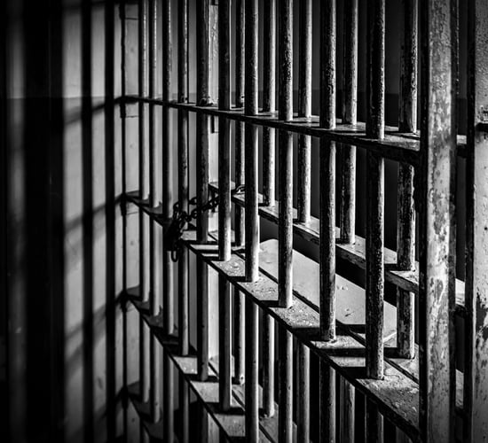 Farmer pleads guilty at Tyrone court in relation to animal welfare offences