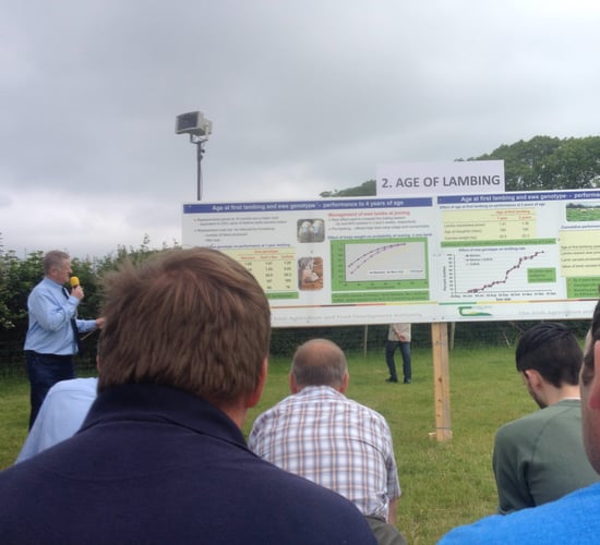 Expert insights and tech info lined up for Sheep 2025 in Galway