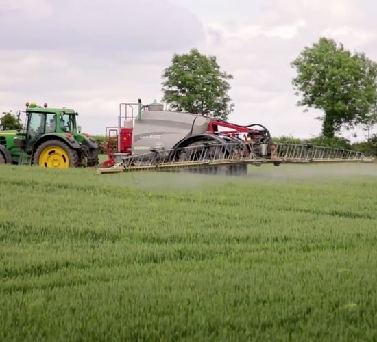 Tillage advice: Effective grass weed management