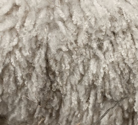 Price outlook not good for wool - merchants