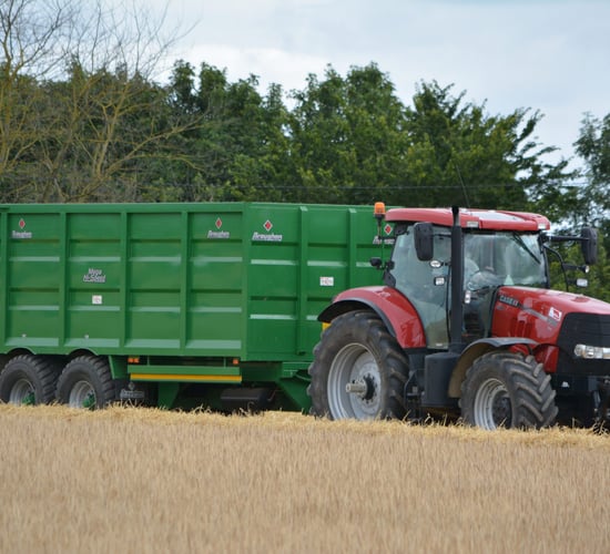 Area under cereals down 3.1% last summer