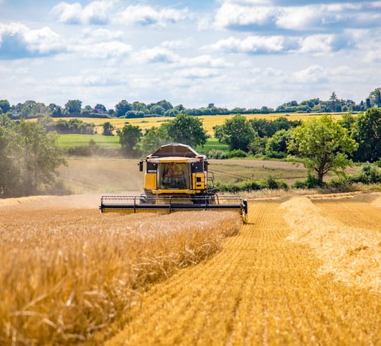 Few winter barley crops hit 4t/ac in the midlands and south
