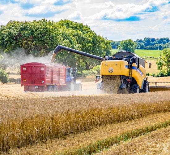 Video: Winter barley harvest wraps up in north Co. Dublin