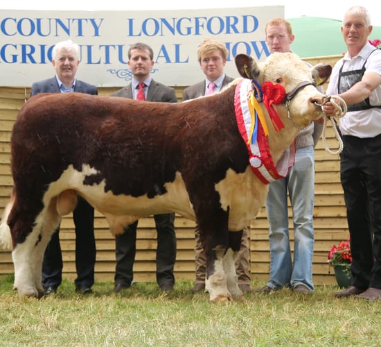 Pics: Herefords out in force at the Longford Show