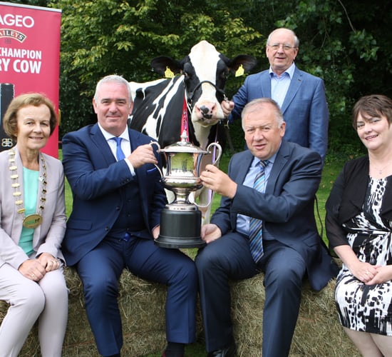 Champion Cow comp seeks 'cream of the crop'