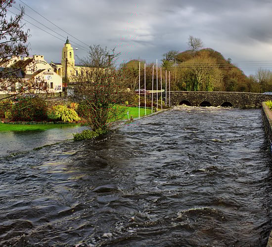 Environment agency targets 3 agri-food firms in drive to improve compliance
