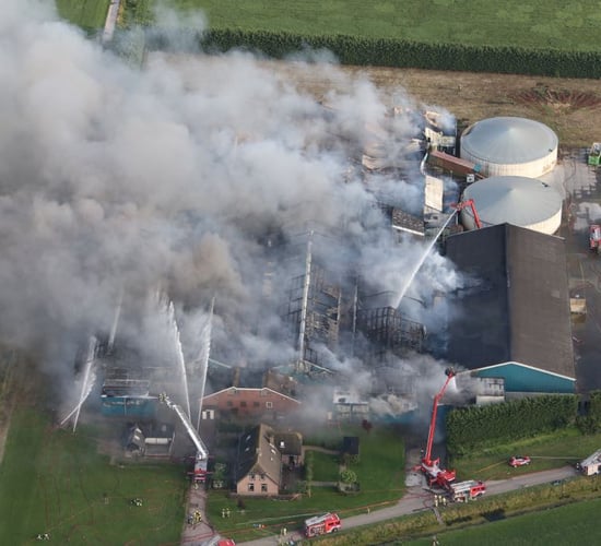Video: 20,000 pigs die in devastating Dutch farm fire