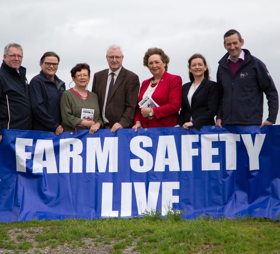 Tullamore Show event aims to 'bring to life' farm dangers
