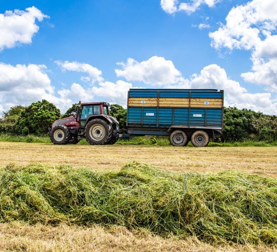 Cut to clamp: The one-stop guide to cutting, wilting and picking up silage