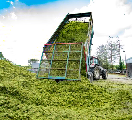 Grass growth: Onwards and upwards from here