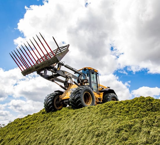 Video: Will this be the silage-cutting anthem of 2018?