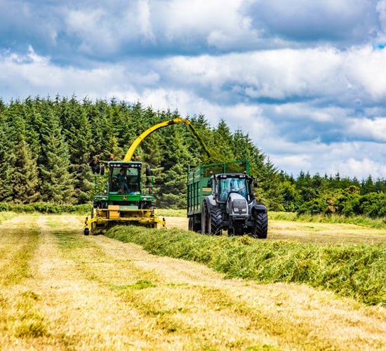 Fodder shortage: Supports needed for lowly-stocked farms to grow more silage