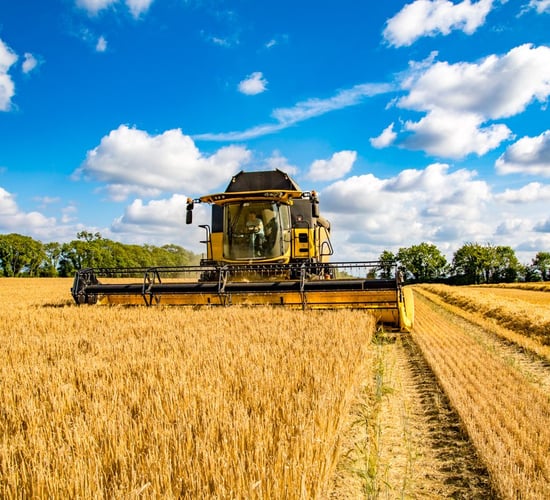 Harvest 2017 - the facts and the figures