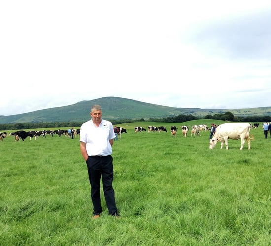 North American genetics take centre stage in Wicklow