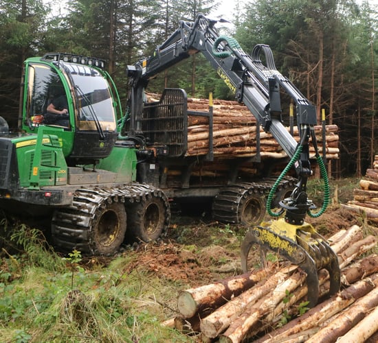 Issuing of felling licences 'shows improved rate' in March