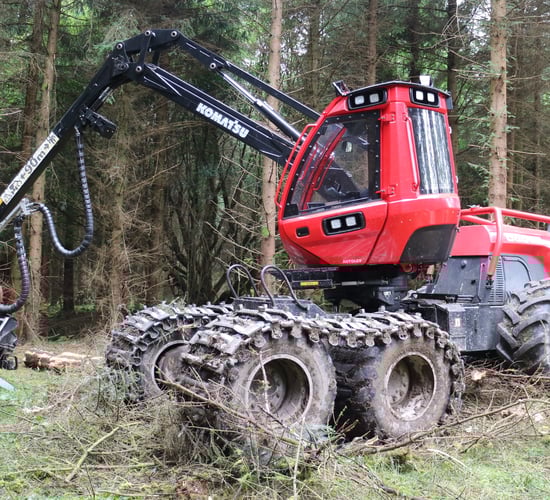 New licence plan 'discriminates against farm forests'