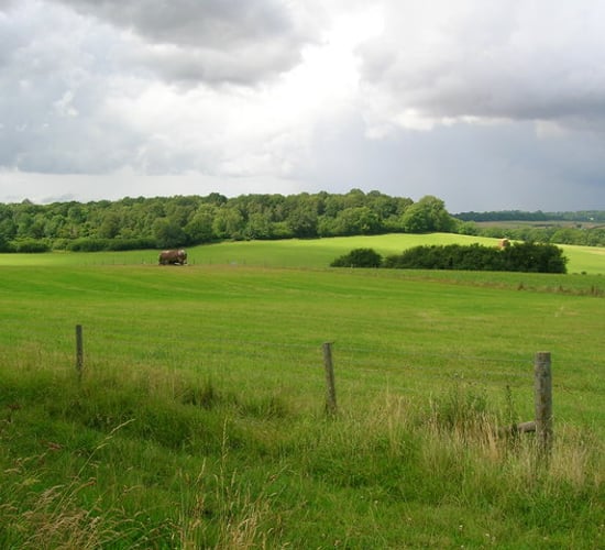 Report: How did agricultural land prices compare depending on a residence?