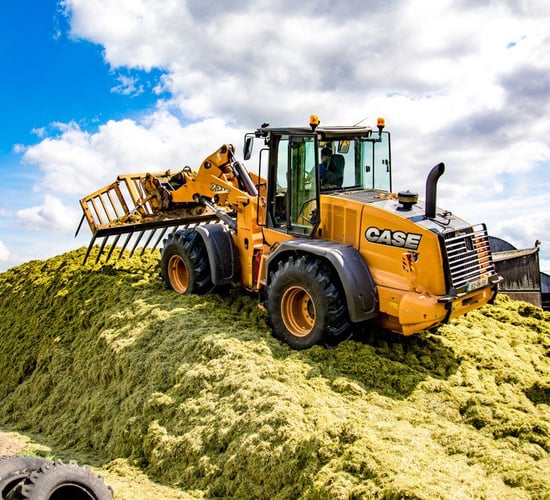 Fodder census announced for July 1