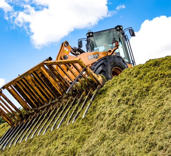 6m height limit urged to improve silage pit safety