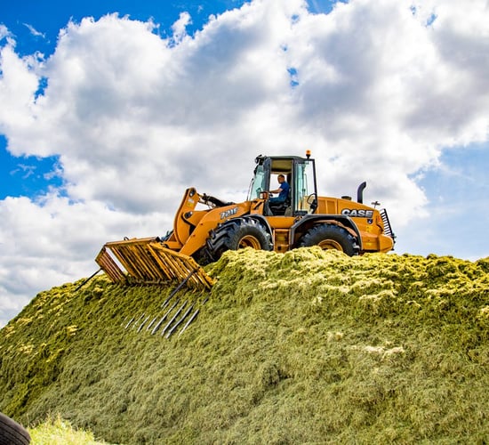 Cut to Clamp: Do I need a silage additive and is my pit packed correctly?