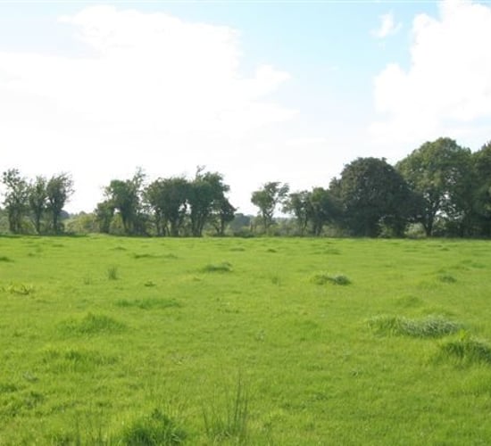 Pics: Longford farm with "enormous potential" sells for close to €7,300/ac