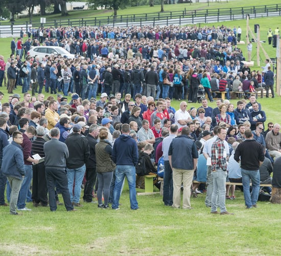Moorepark '19: An event not to be missed for dairy farmers