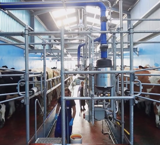 Don't underestimate the power of teat spraying at this time of year