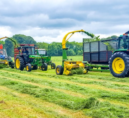 Some top tips for making first-class silage