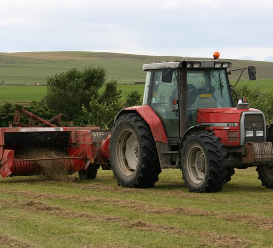 Bargains for bales? Hay prices across the country