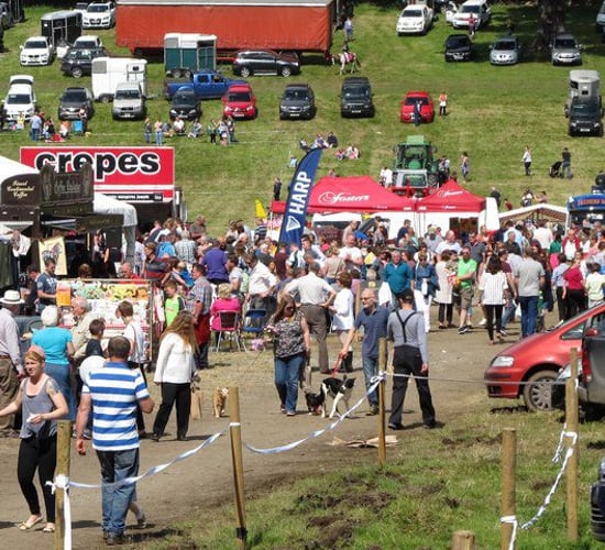 Agricultural shows galore for the country this weekend
