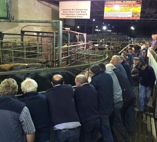 Sale of major livestock mart edges closer
