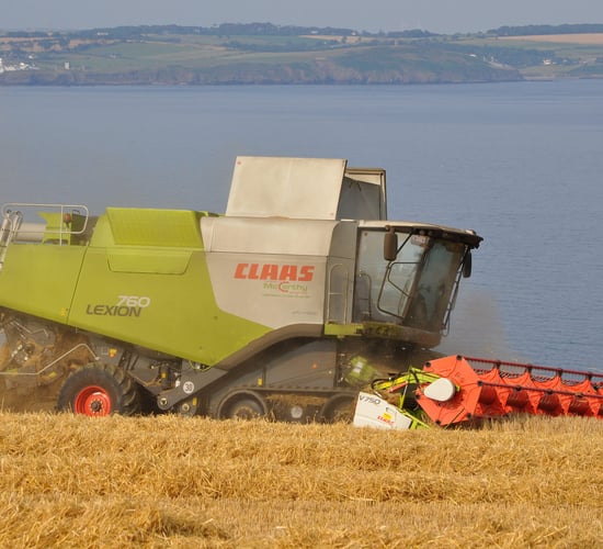 Winter barley - a tale of rotation in the south-east