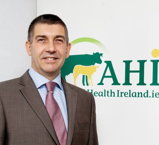 Animal Health Ireland appoints new CEO