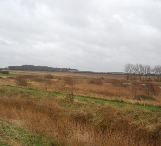 Farmers discuss inspections with European officials