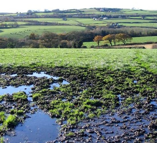 Soil drainage - is it worth the initial investment?