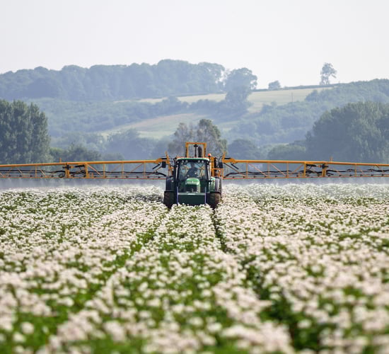 Met Éireann extends potato blight advisory