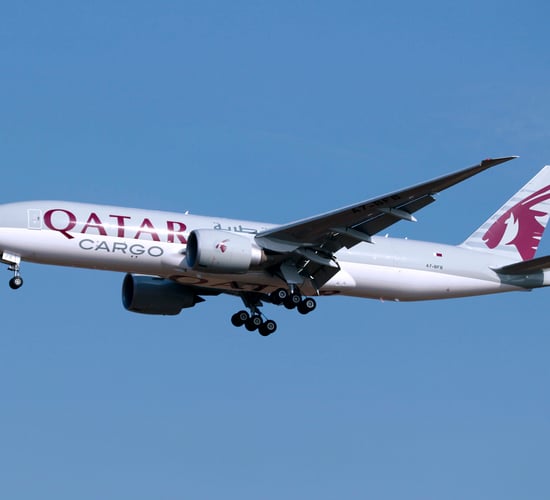 First consignment of 165 dairy cows flown into Qatar