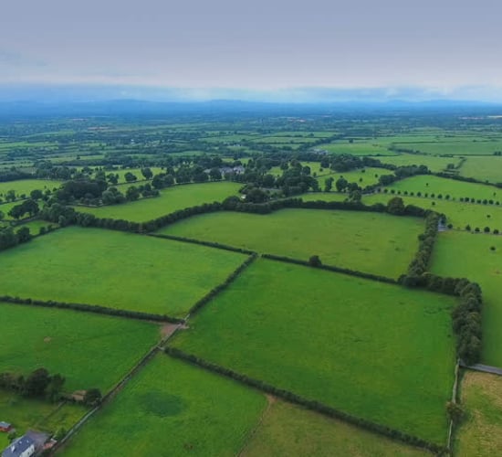 Government announces target projects of Climate Action Fund