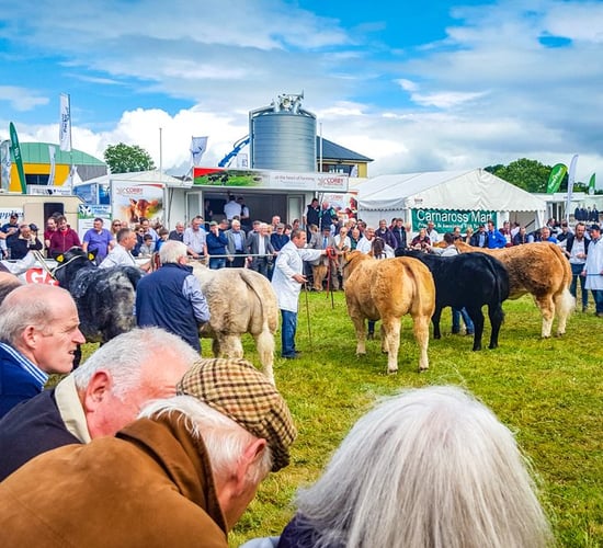 A day for all ages at the 76th Virginia Show