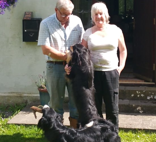 Tipperary pig farmers on a slice of life as Airbnb hosts