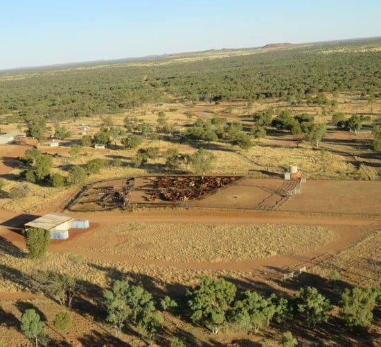 Pics: See the Australian cattle station that sold for $13 million