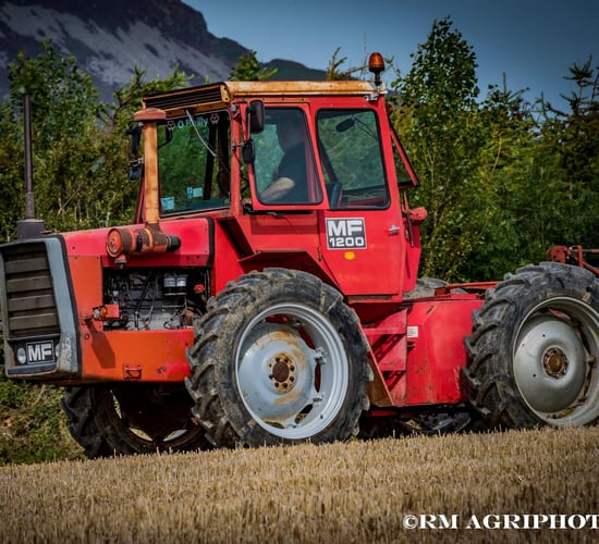 Pics: Eye-catching classic tractors turn the sod at Cooley ploughing festival
