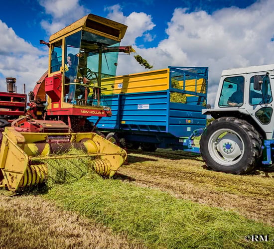 Pics: County fleet turns heads in 'County' Down