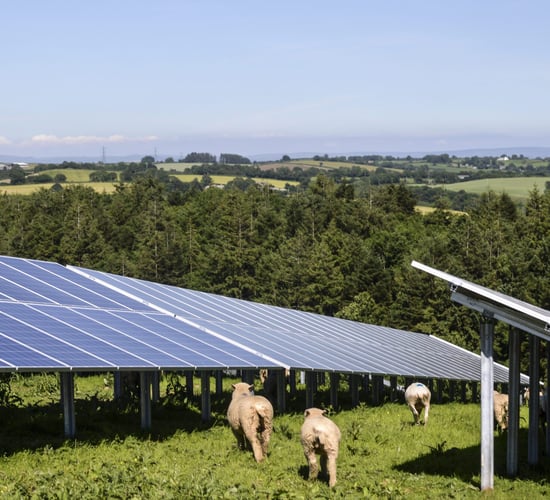 Planning permission granted for Offaly solar farm