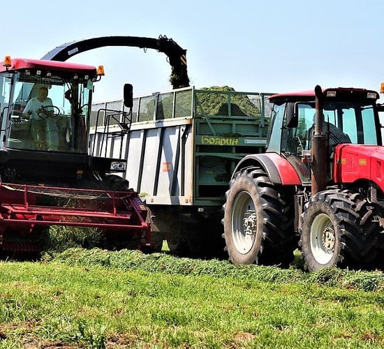 Pics: 'Unusual' forage harvester from the 'east' struts its stuff