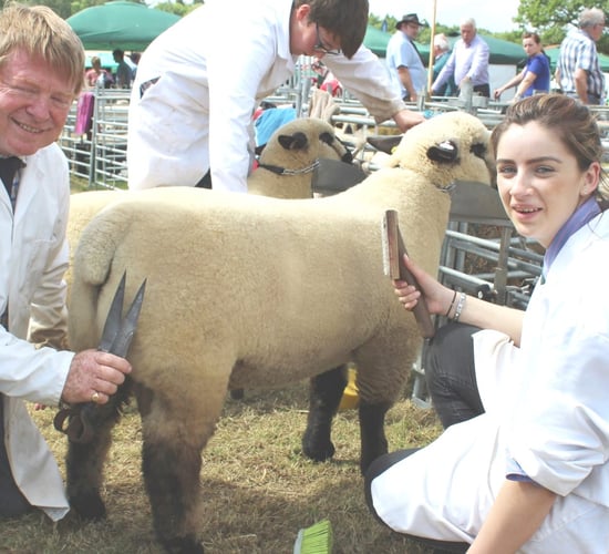 The sheep industry in Ireland has a great story to tell