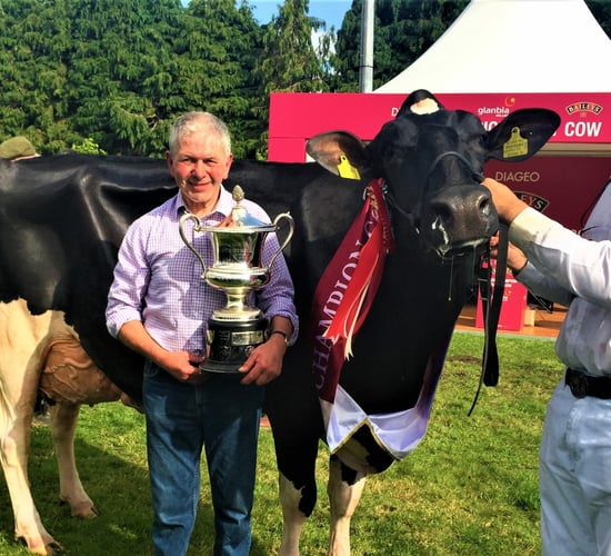 Virginia Show debutante takes Baileys Champion Cow title