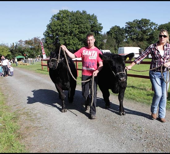 Iverk Show gets set to impress this Saturday