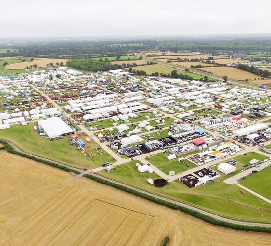 Ploughing Championships to showcase 'Tinder' for bulls
